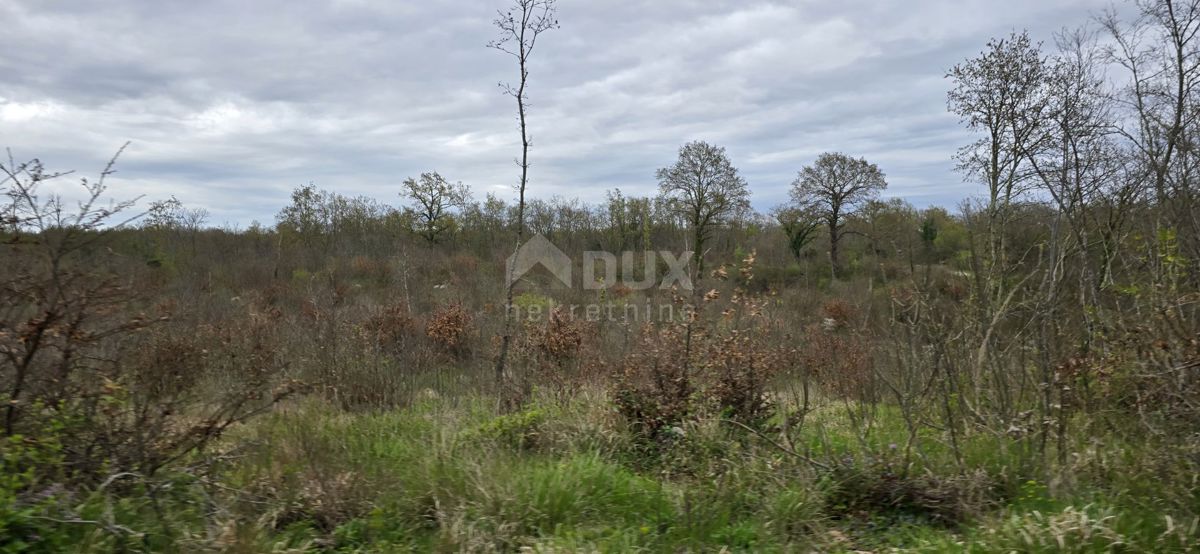 ISTRA, KANFANAR - Prostorno kmetijsko zemljišče 17,5 ha