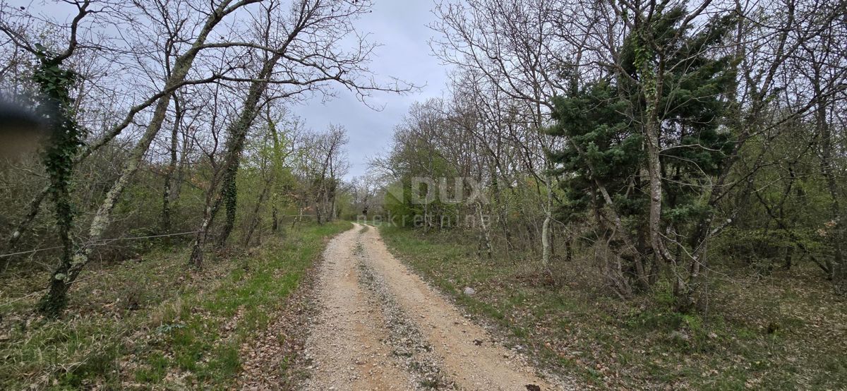 ISTRA, KANFANAR - Prostorno kmetijsko zemljišče 17,5 ha