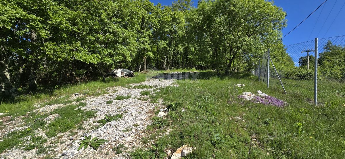 ISTRA, PIĆAN - Kompleks zemljišč z dovoljenjem na robu naselja