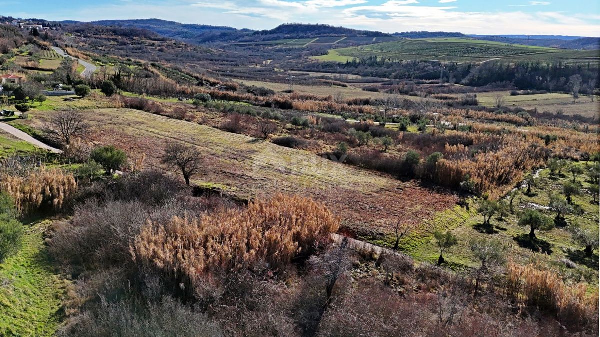 ISTRA, BUJE - Gradbeno zemljišče s panoramskim razgledom