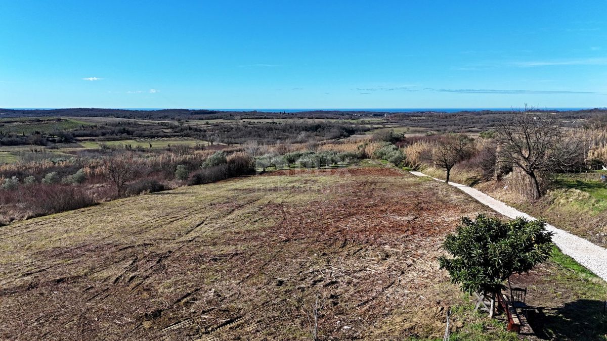 ISTRA, BUJE - Gradbeno zemljišče s panoramskim razgledom