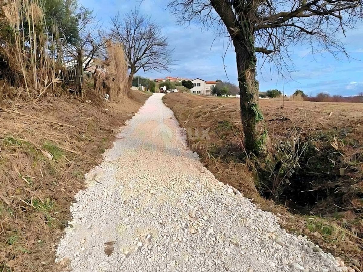 ISTRA, BUJE - Gradbeno zemljišče s panoramskim razgledom