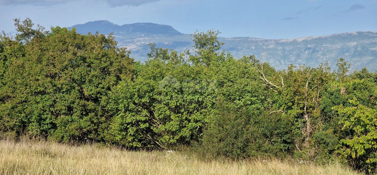 ISTRA, PIĆAN - Čudovit kompleks gradbenih in kmetijskih zemljišč, pogled na Učko - popolna zasebnost