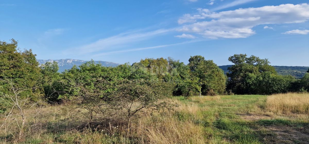 ISTRA, PIĆAN - Čudovit kompleks gradbenih in kmetijskih zemljišč, pogled na Učko - popolna zasebnost