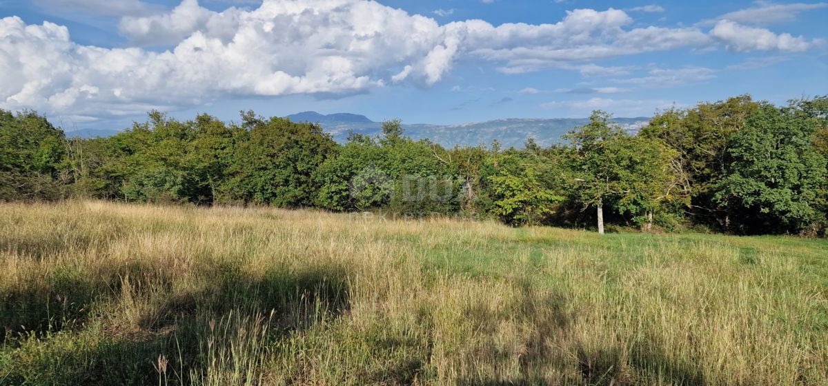 ISTRA, PIĆAN - Čudovit kompleks gradbenih in kmetijskih zemljišč, pogled na Učko - popolna zasebnost