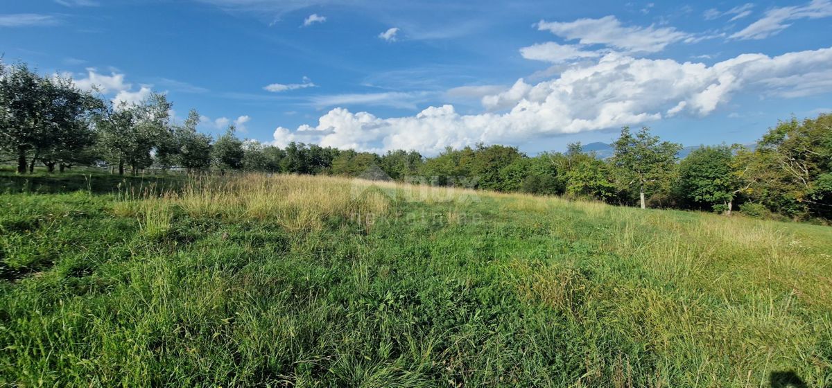 ISTRA, PIĆAN - Čudovit kompleks gradbenih in kmetijskih zemljišč, pogled na Učko - popolna zasebnost