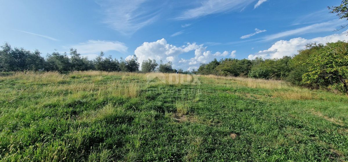 ISTRA, PIĆAN - Čudovit kompleks gradbenih in kmetijskih zemljišč, pogled na Učko - popolna zasebnost