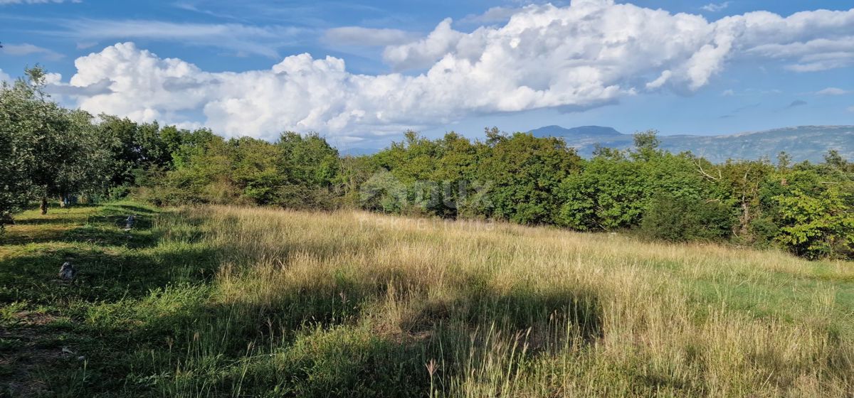 ISTRA, PIĆAN - Čudovit kompleks gradbenih in kmetijskih zemljišč, pogled na Učko - popolna zasebnost