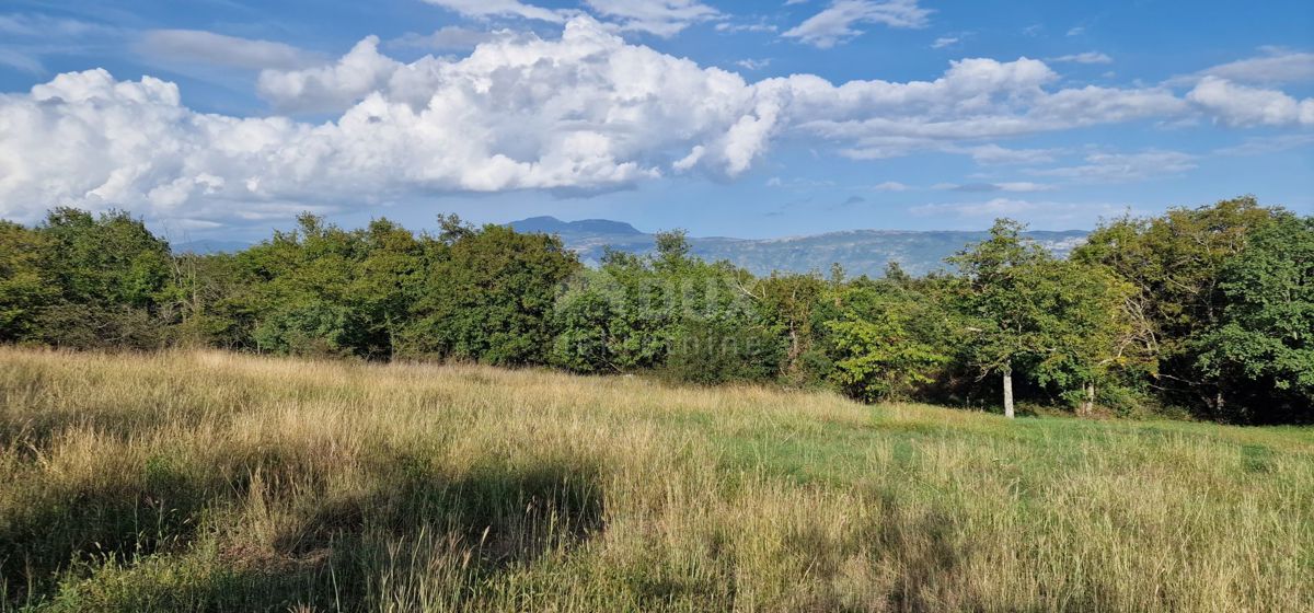 ISTRA, PIĆAN - Čudovit kompleks gradbenih in kmetijskih zemljišč, pogled na Učko - popolna zasebnost