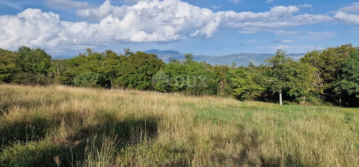 ISTRA, PIĆAN - Čudovit kompleks gradbenih in kmetijskih zemljišč, pogled na Učko - popolna zasebnost