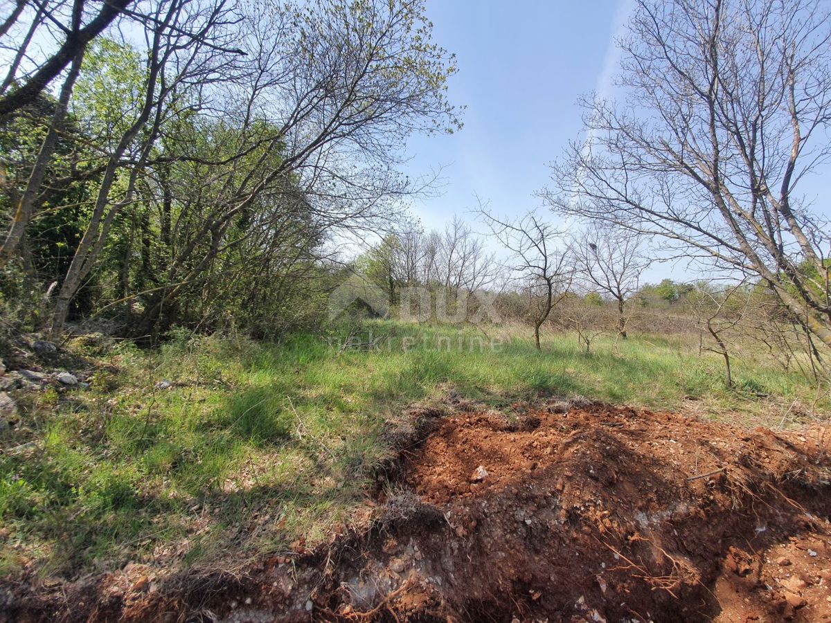 ISTRA, MARČANA - Zazidljiva parcela na robu naselja