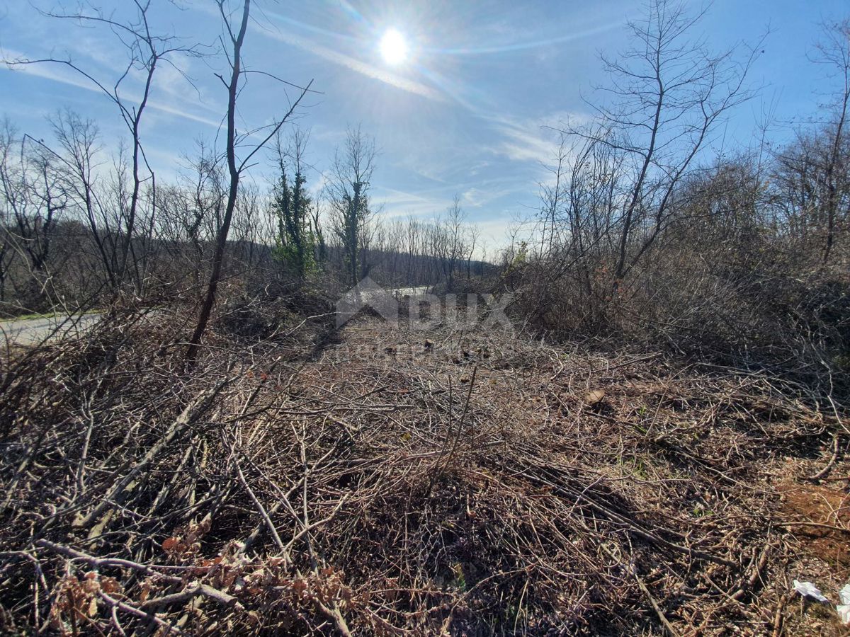 ISTRA, KAROJBA - Gradbena parcela na koncu mirnega naselja