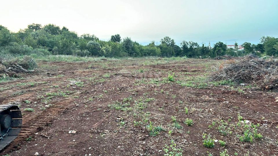 ISTRA, ŠIŠAN - Gradbeno zemljišče za industrijsko in poslovno uporabo 4300 m2