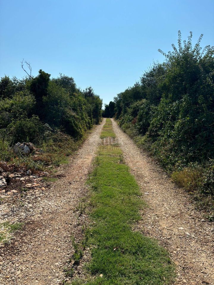 ISTRA, ŠIŠAN - Gradbeno zemljišče za industrijsko in poslovno uporabo 4300 m2