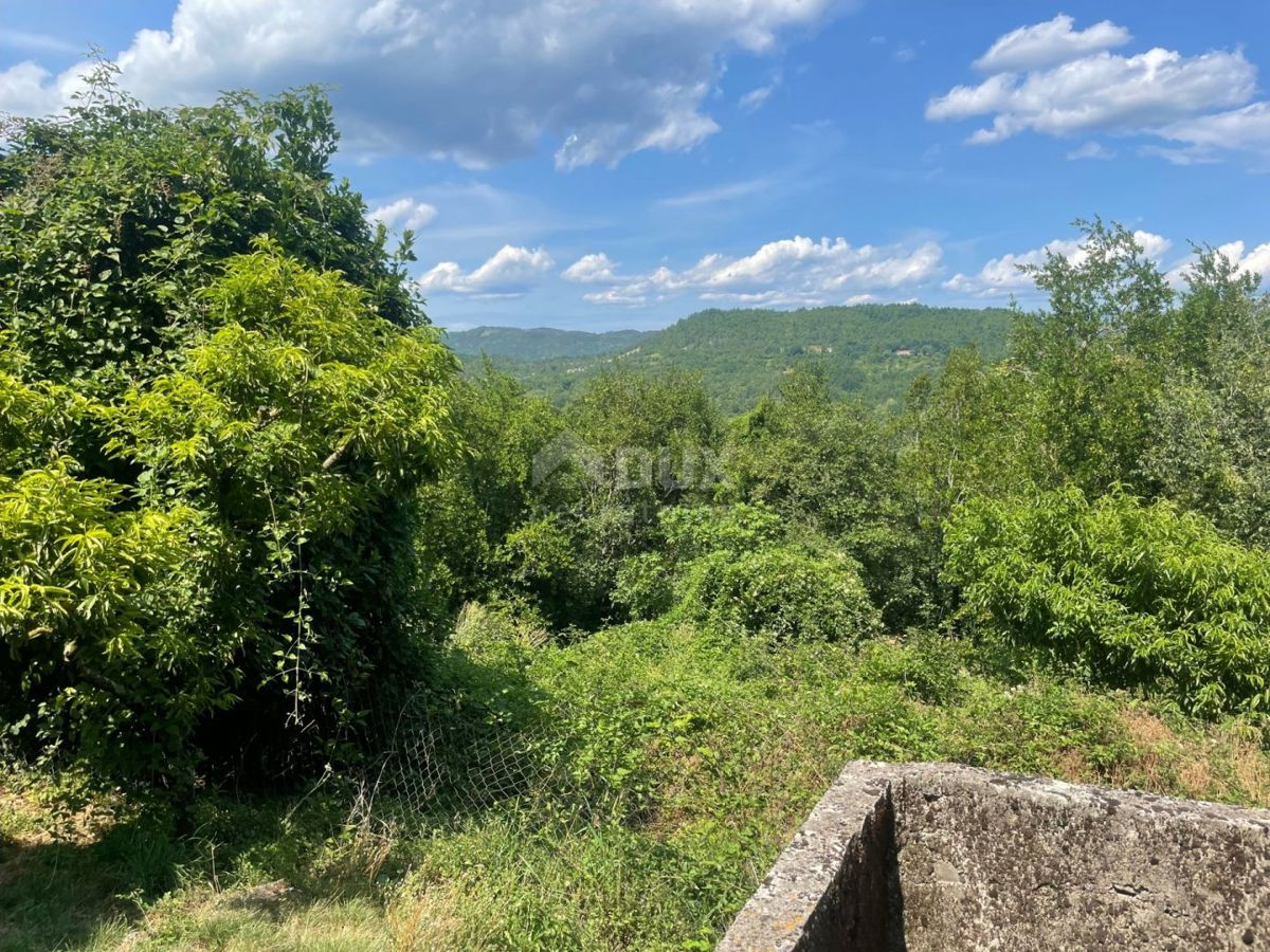 ISTRA, PIĆAN - Prostorna posest 2,2 ha s čudovitim pogledom na Učko