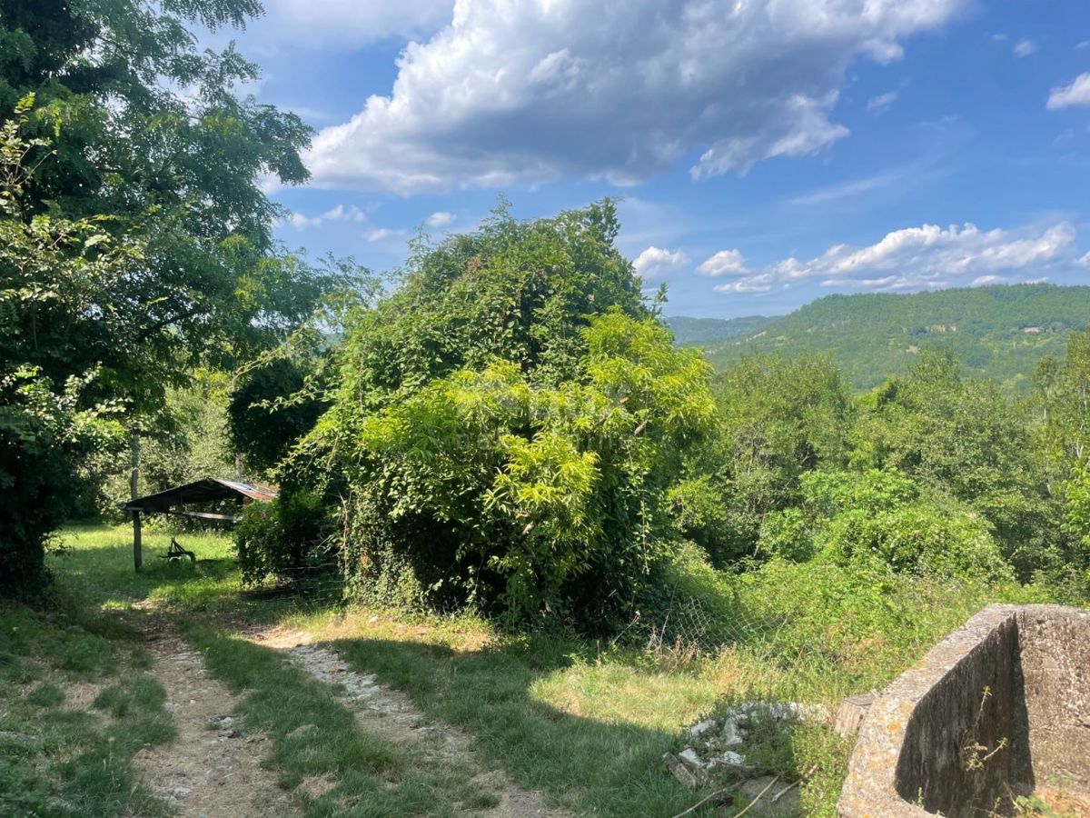 ISTRA, PIĆAN - Prostorna posest 2,2 ha s čudovitim pogledom na Učko