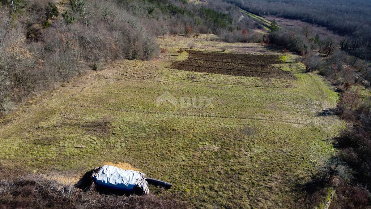 ISTRA, MOTOVUN - Gradbeno zemljišče 1970 m2 s pogledom na Motovun, na samem