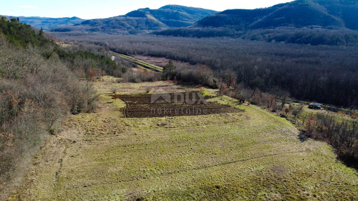 ISTRA, MOTOVUN - Gradbeno zemljišče 1970 m2 s pogledom na Motovun, na samem