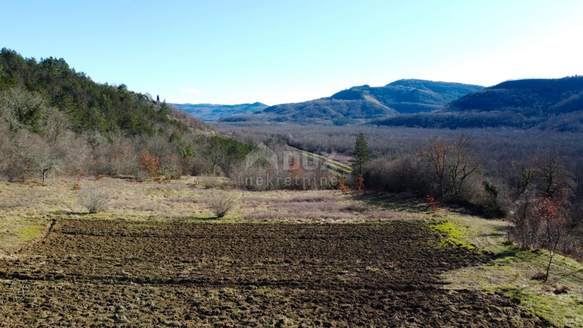 ISTRA, MOTOVUN - Gradbeno zemljišče 1970 m2 s pogledom na Motovun, na samem