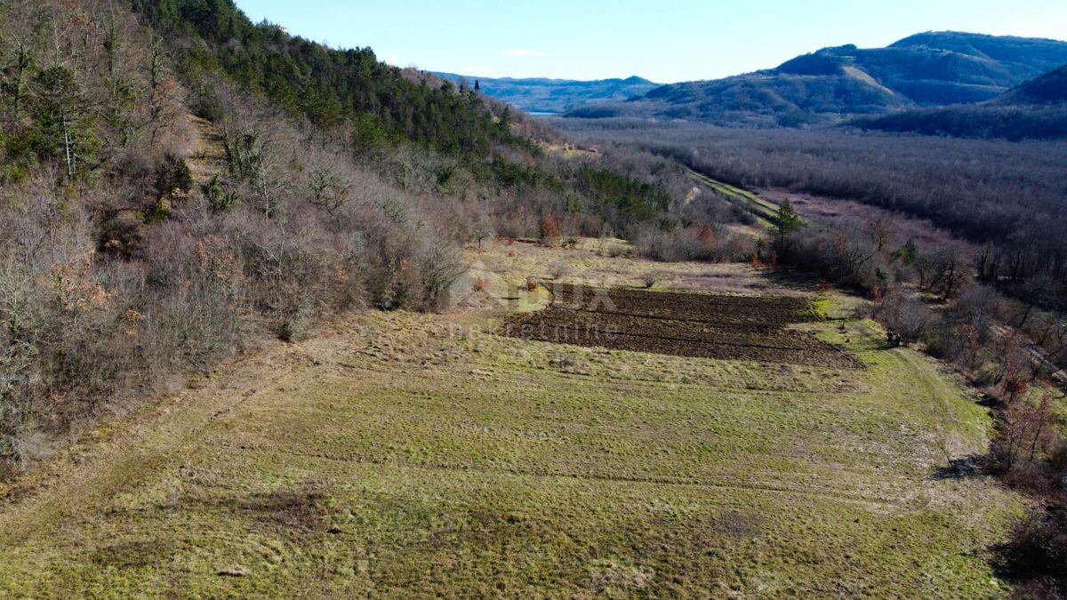 ISTRA, MOTOVUN - Gradbeno zemljišče 1970 m2 s pogledom na Motovun, na samem