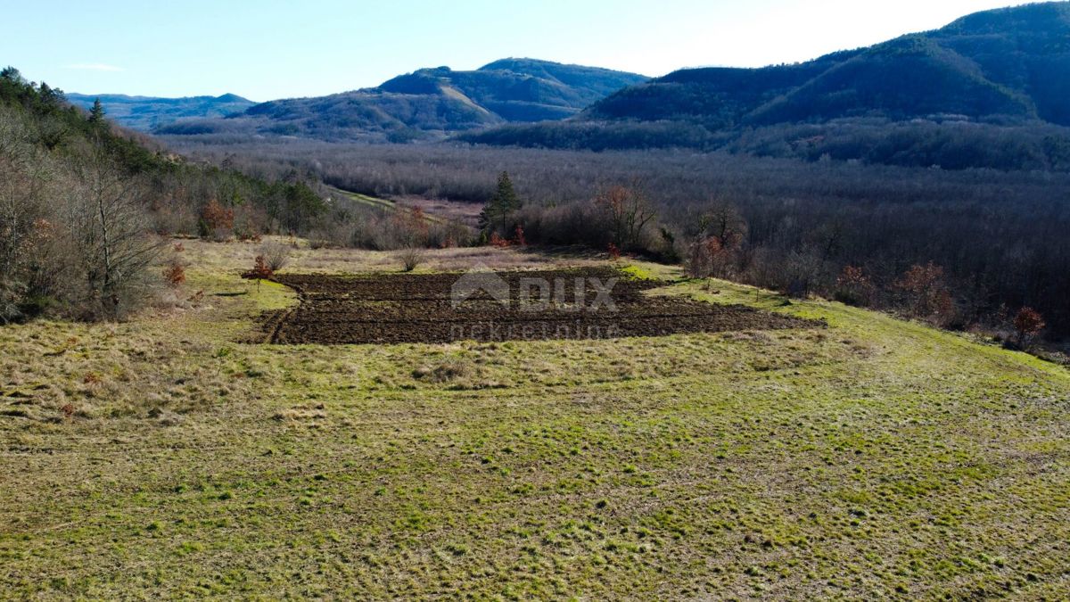 ISTRA, MOTOVUN - Gradbeno zemljišče 1970 m2 s pogledom na Motovun, na samem