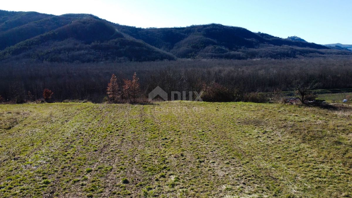 ISTRA, MOTOVUN - Gradbeno zemljišče 1970 m2 s pogledom na Motovun, na samem