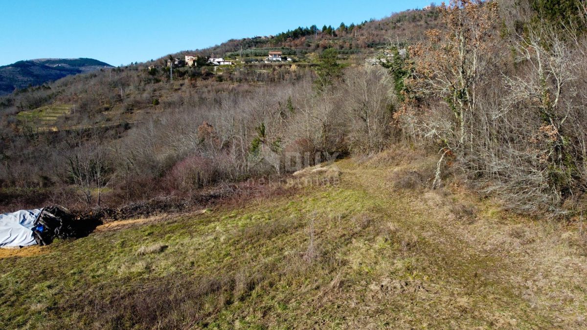 ISTRA, MOTOVUN - Gradbeno zemljišče 1970 m2 s pogledom na Motovun, na samem