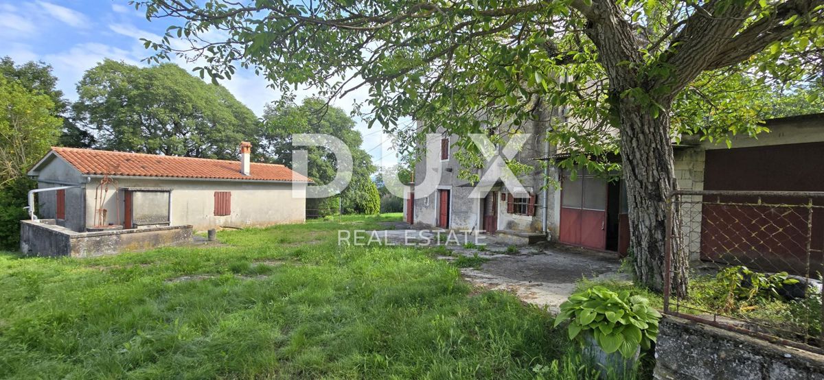 ISTRA, LABIN - Prostorna posest s 3 hišami in 18.500 m2 zemljišča
