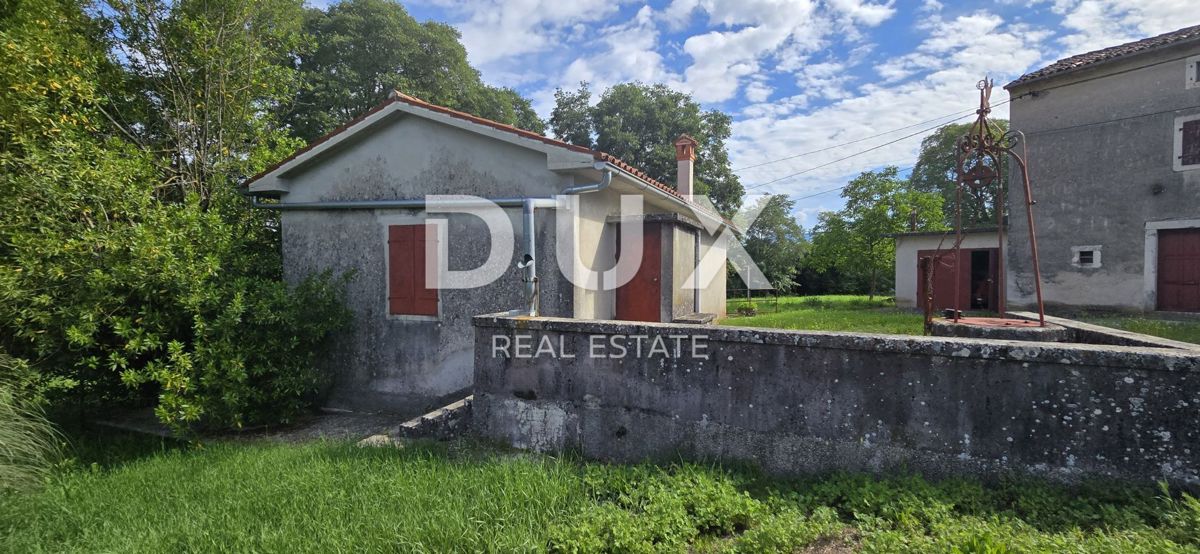 ISTRA, LABIN - Prostorna posest s 3 hišami in 18.500 m2 zemljišča