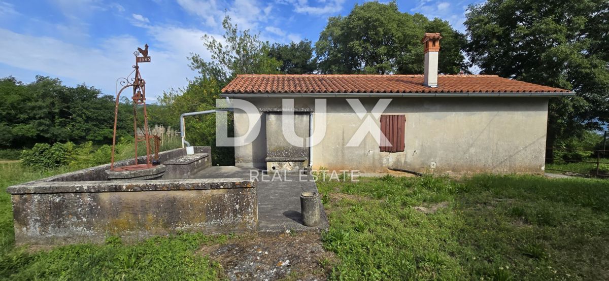 ISTRA, LABIN - Prostorna posest s 3 hišami in 18.500 m2 zemljišča