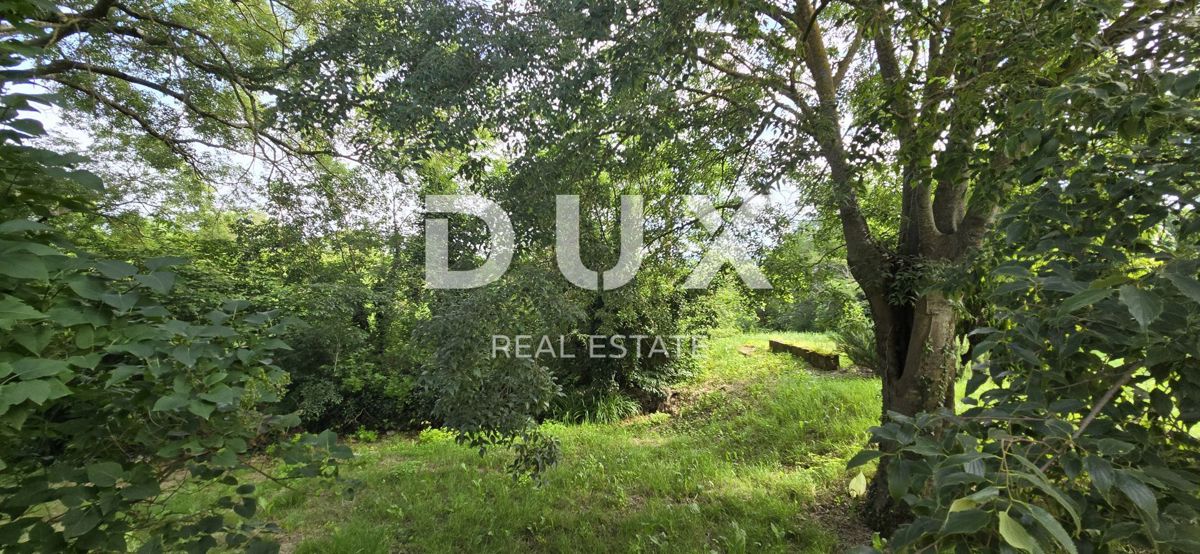 ISTRA, LABIN - Prostorna posest s 3 hišami in 18.500 m2 zemljišča