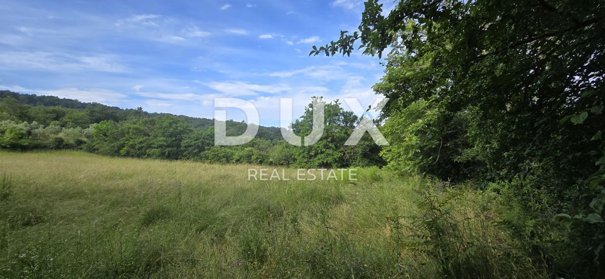 ISTRA, LABIN - Prostorna posest s 3 hišami in 18.500 m2 zemljišča
