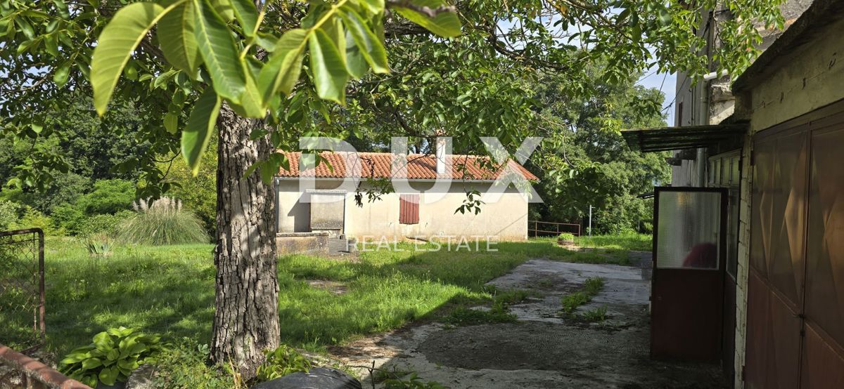 ISTRA, LABIN - Prostorna posest s 3 hišami in 18.500 m2 zemljišča