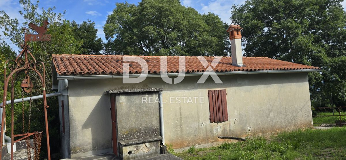 ISTRA, LABIN - Prostorna posest s 3 hišami in 18.500 m2 zemljišča