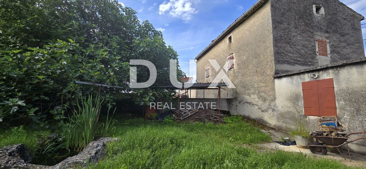 ISTRA, LABIN - Prostorna posest s 3 hišami in 18.500 m2 zemljišča