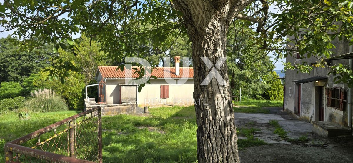 ISTRA, LABIN - Prostorna posest s 3 hišami in 18.500 m2 zemljišča