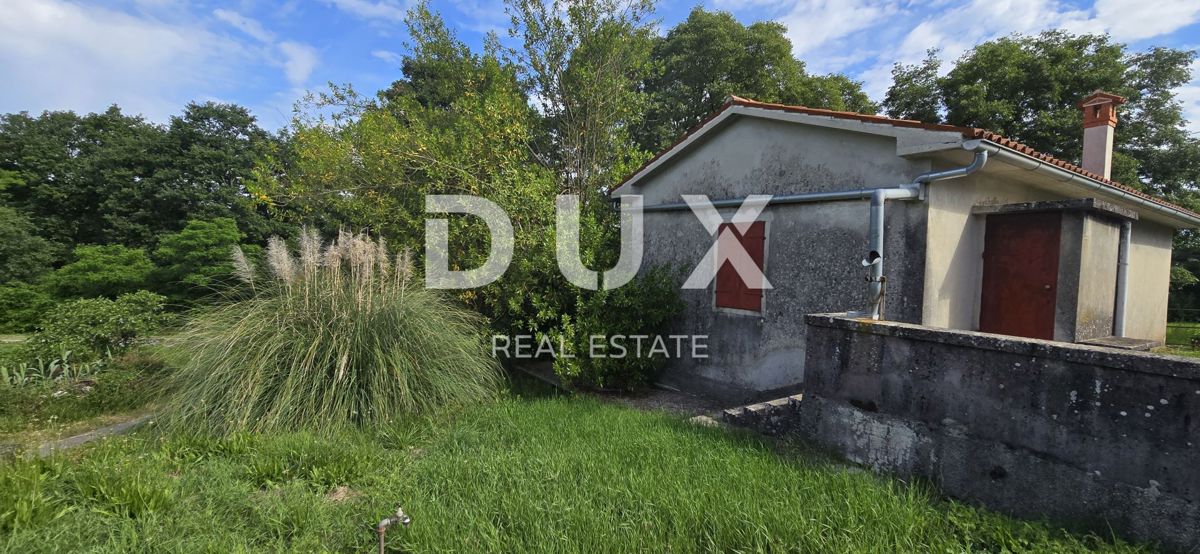 ISTRA, LABIN - Prostorna posest s 3 hišami in 18.500 m2 zemljišča