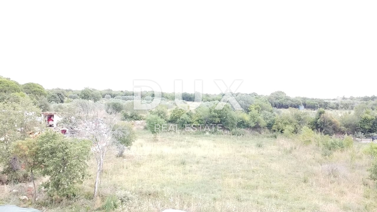 ISTRA, GALIŽANA - Kmetijska zemljišča