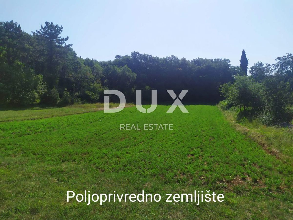 ISTRA, POREČ, TINJAN - atraktivno gradbeno zemljišče 2269 m2