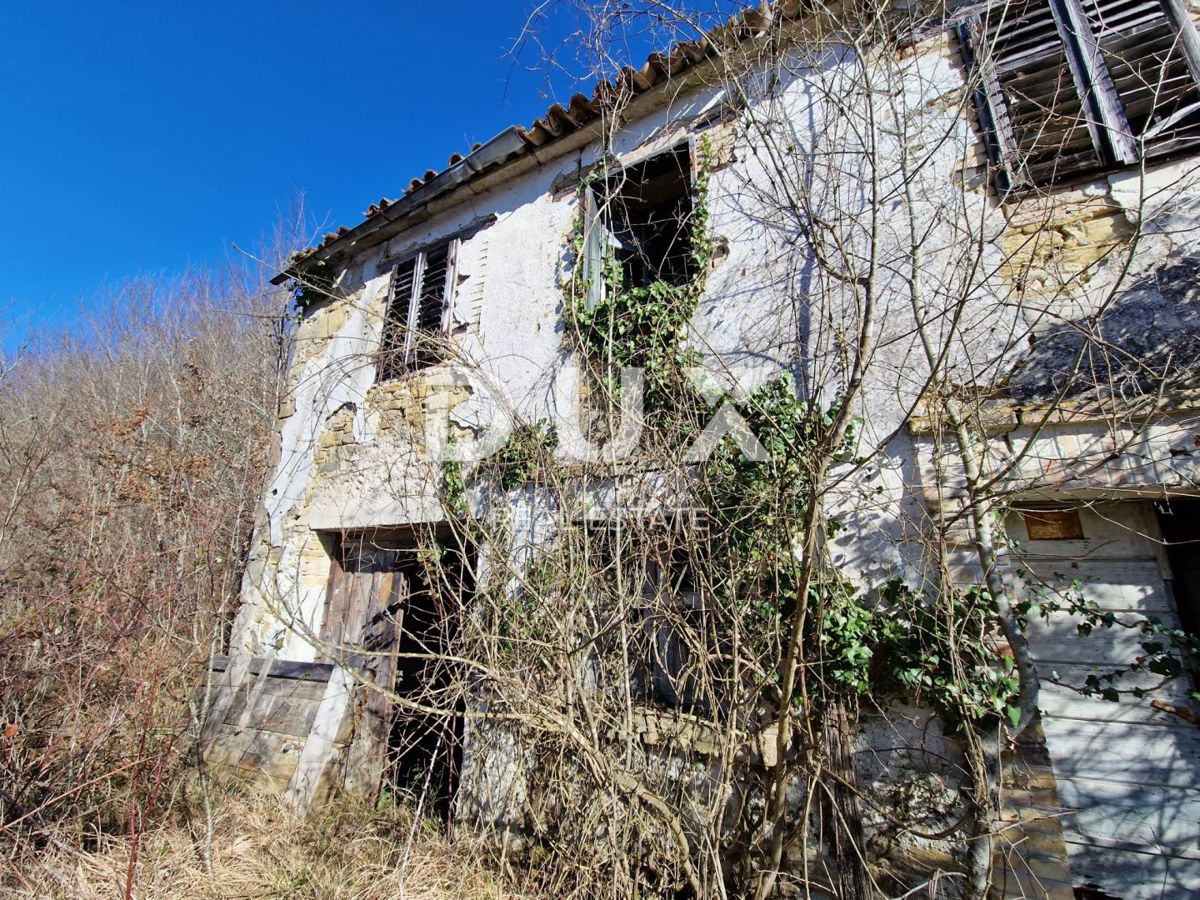 ISTRA, PAZIN - Nepremičnina s potencialom na osamljeni lokaciji