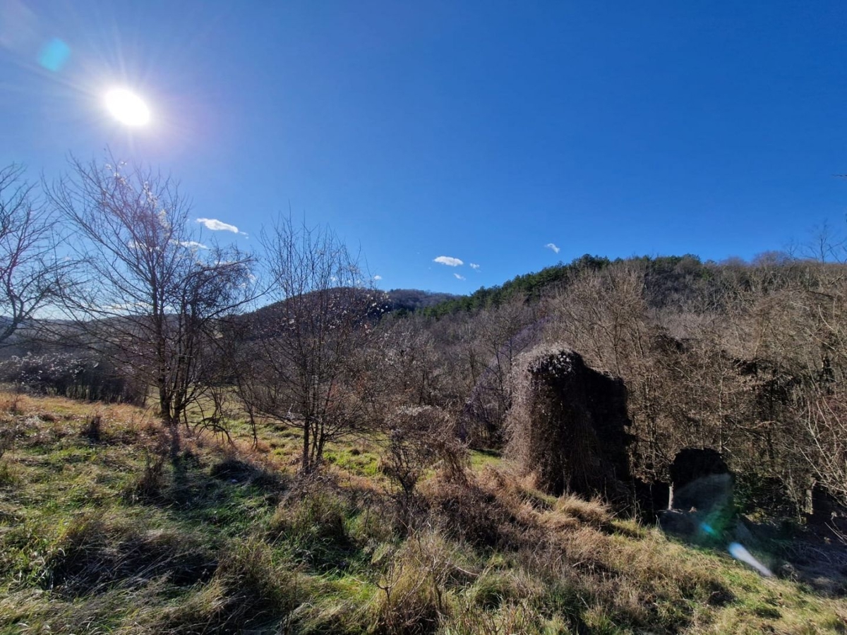 ISTRA, PAZIN - Nepremičnina s potencialom na osamljeni lokaciji