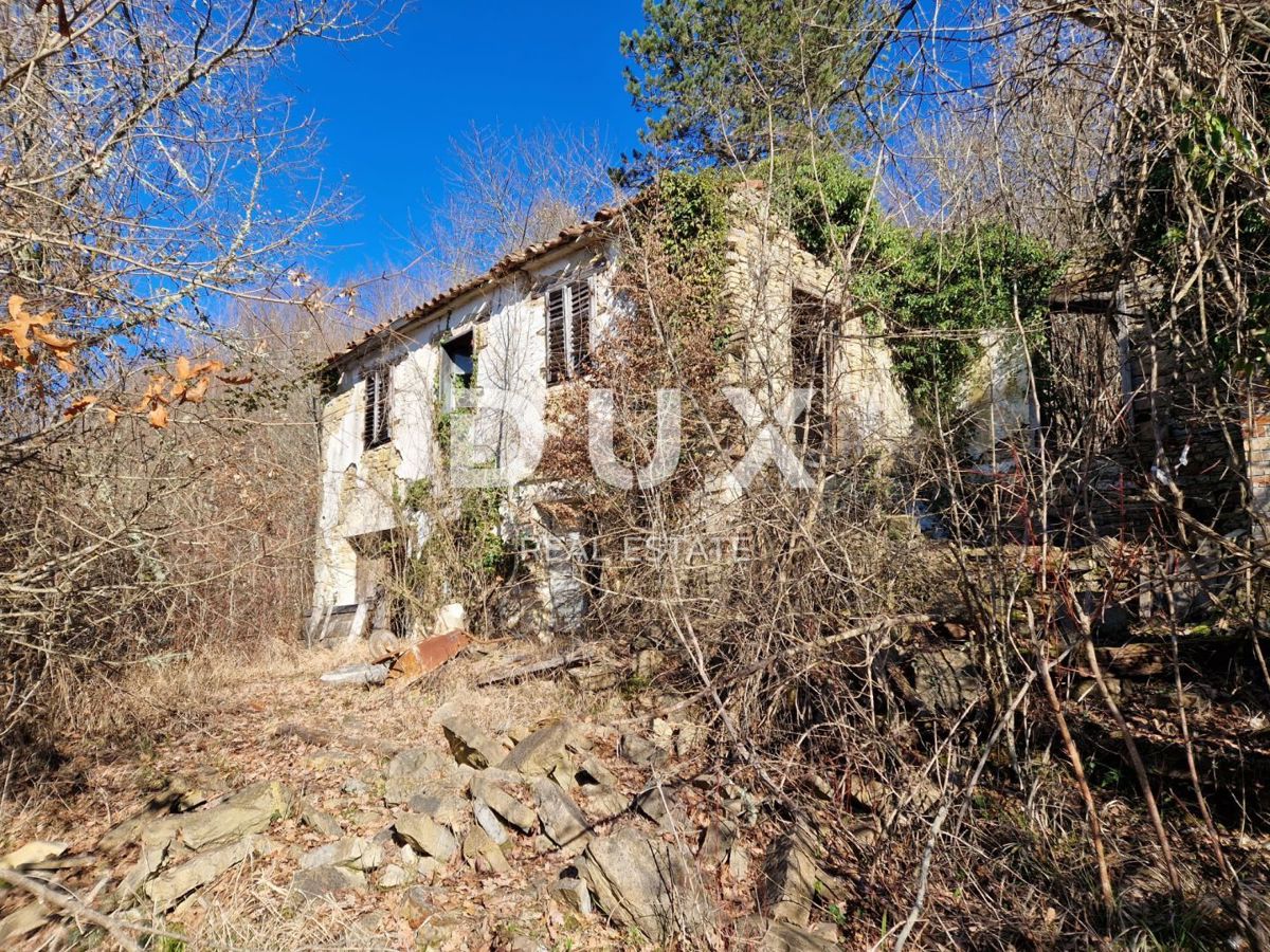 ISTRA, PAZIN - Nepremičnina s potencialom na osamljeni lokaciji