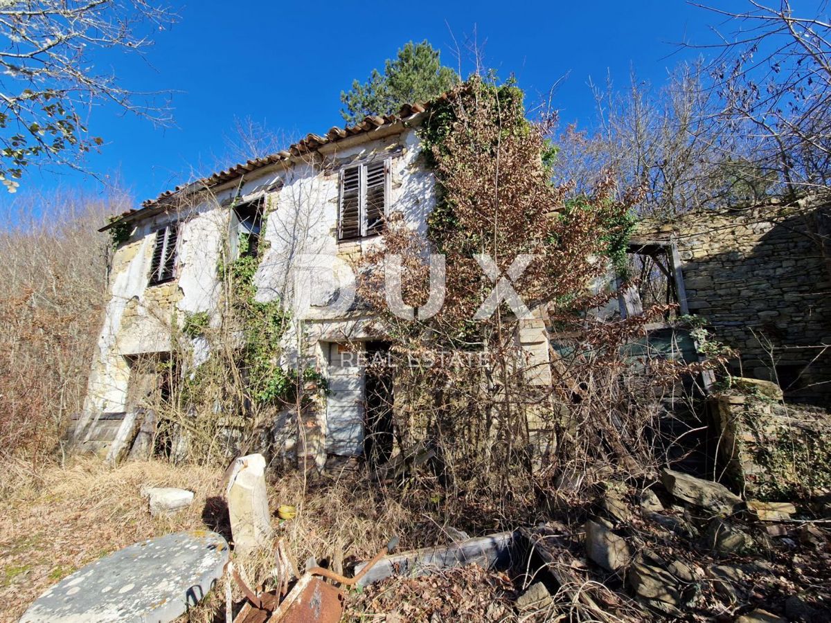 ISTRA, PAZIN - Nepremičnina s potencialom na osamljeni lokaciji