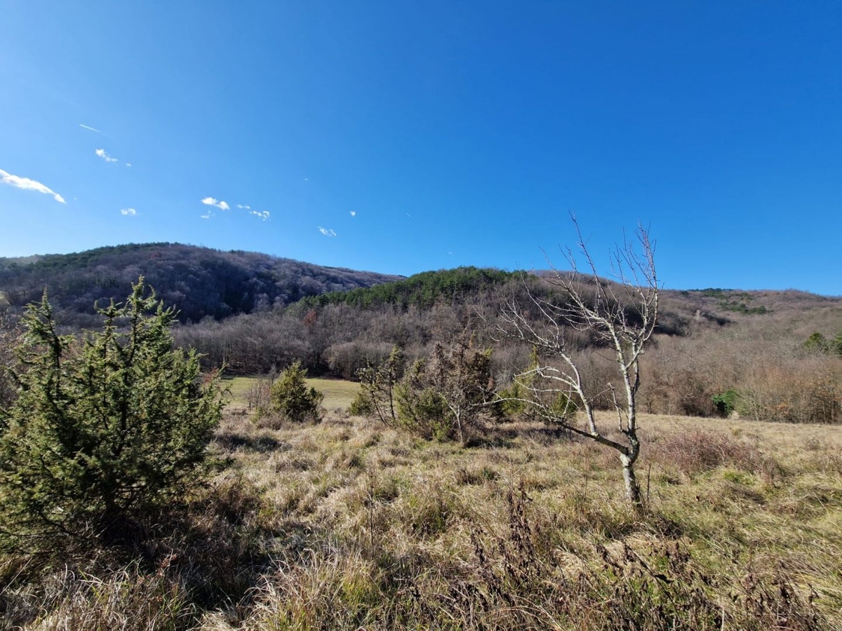 ISTRA, PAZIN - Nepremičnina s potencialom na osamljeni lokaciji
