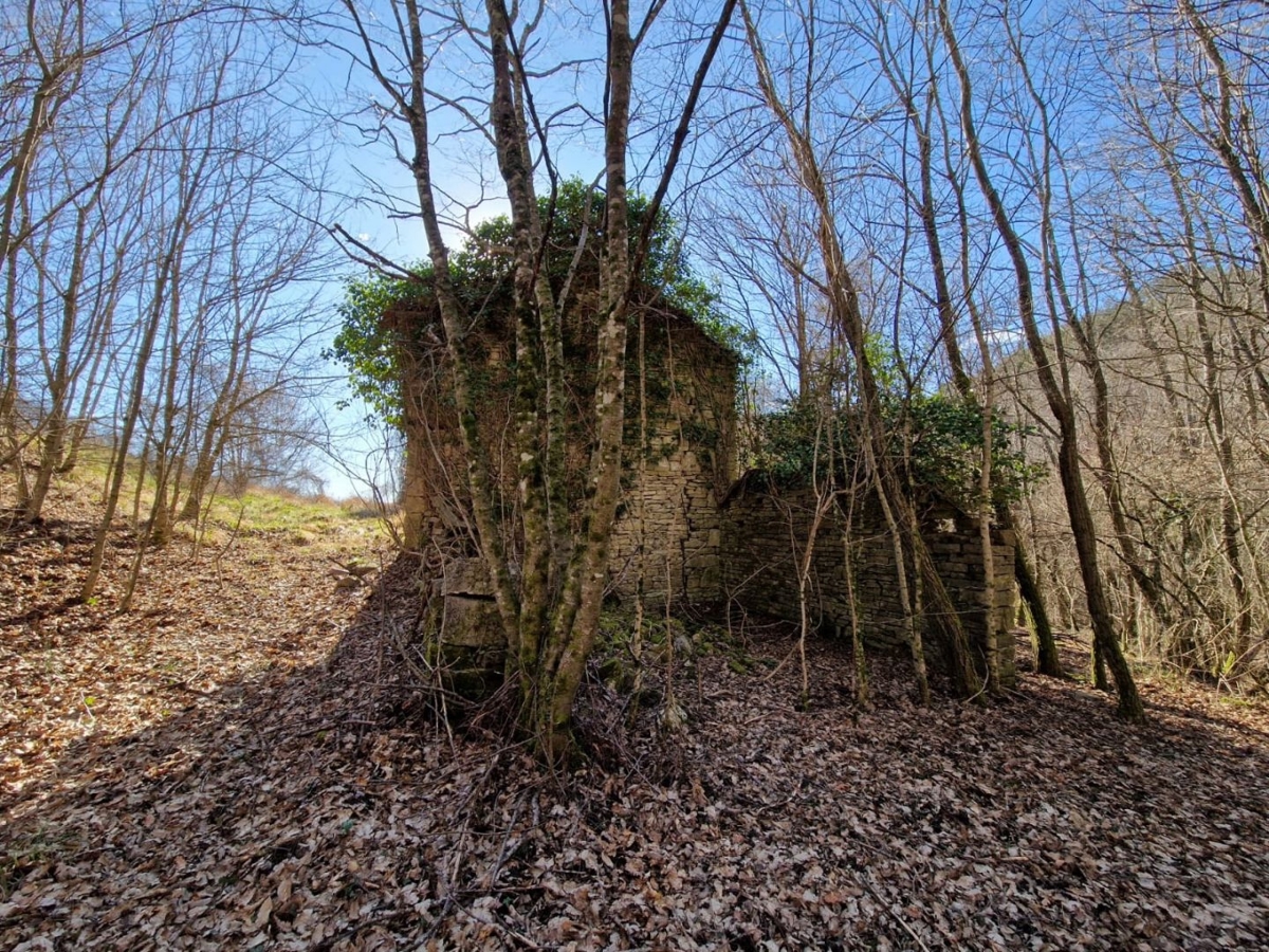 ISTRA, PAZIN - Nepremičnina s potencialom na osamljeni lokaciji