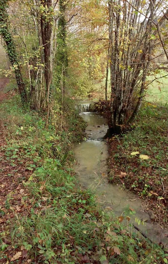 ISTRA, PAZIN - Nepremičnina s potencialom na osamljeni lokaciji