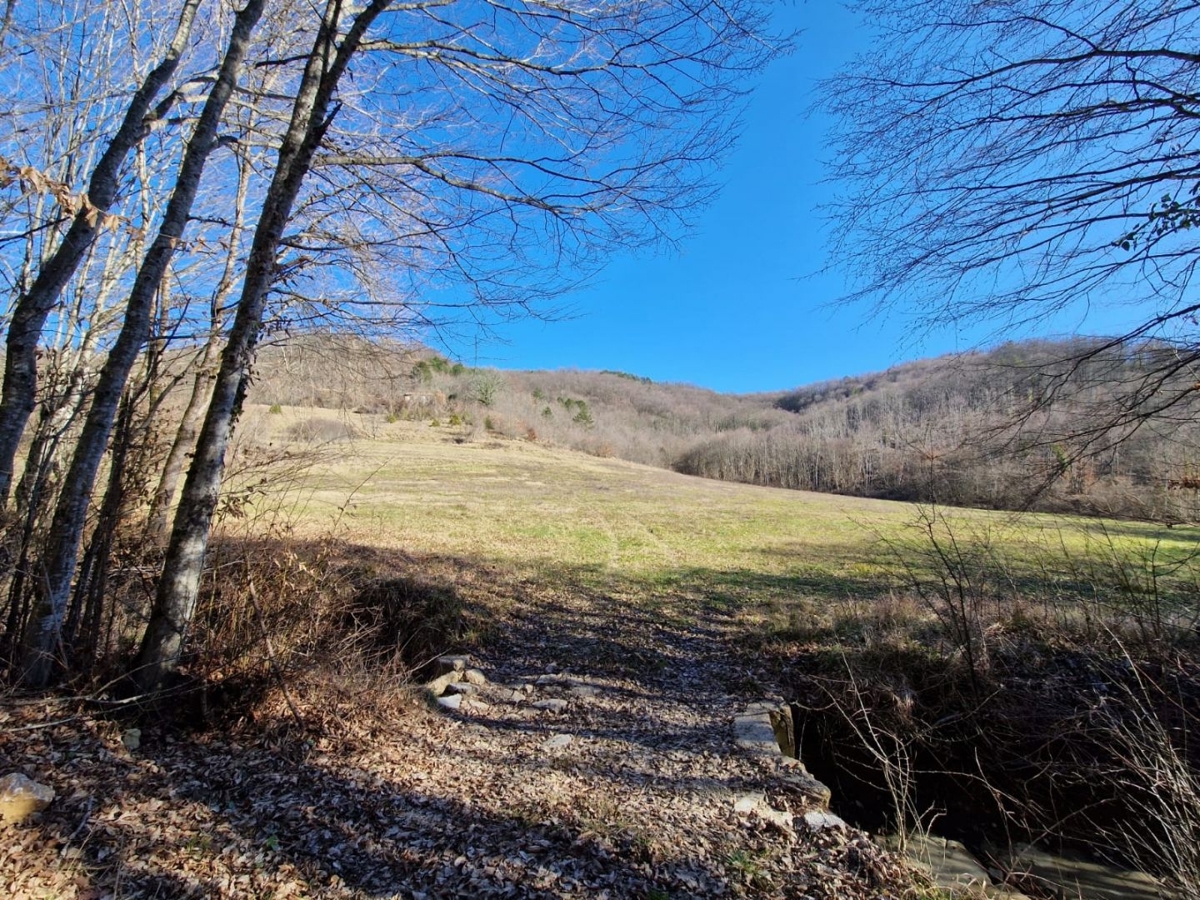 ISTRA, PAZIN - Nepremičnina s potencialom na osamljeni lokaciji