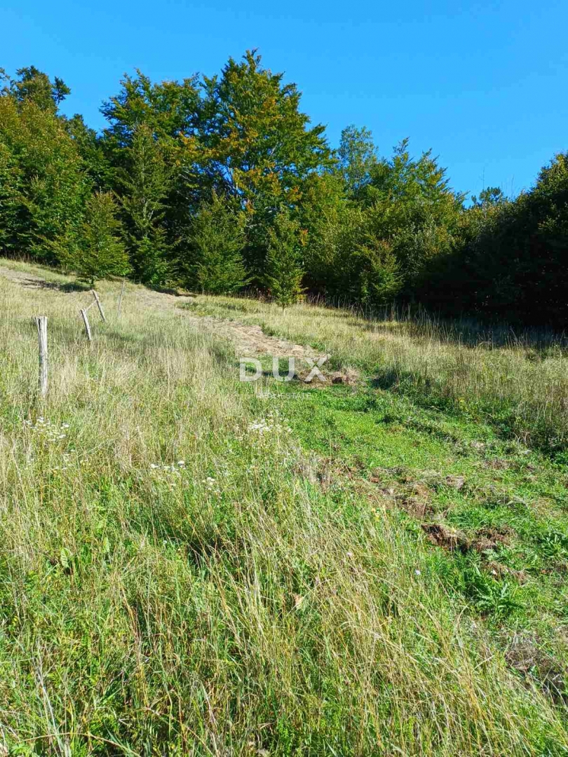 ZLOBIN - veliko kmetijsko zemljišče