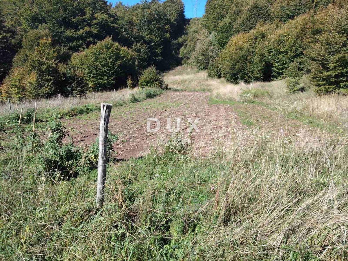 ZLOBIN - veliko kmetijsko zemljišče
