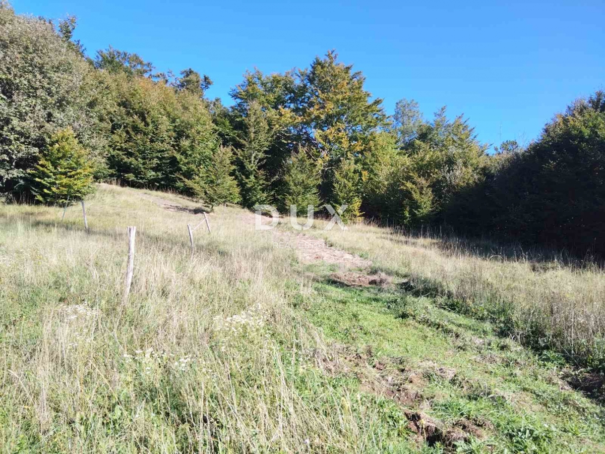 ZLOBIN - veliko kmetijsko zemljišče